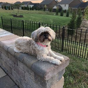 Meet your Posher, Cindy